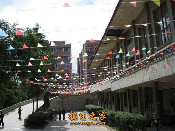 报名条件及所需证件