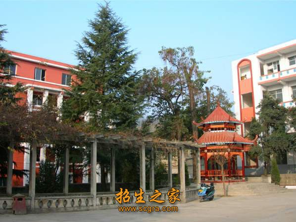 毕业证书复印件一份