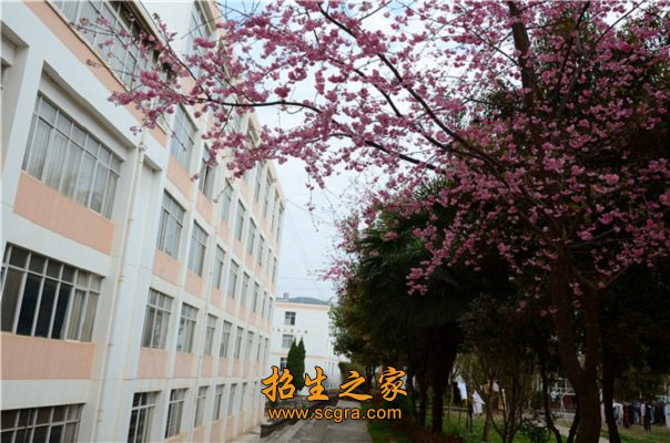 占地面积150亩