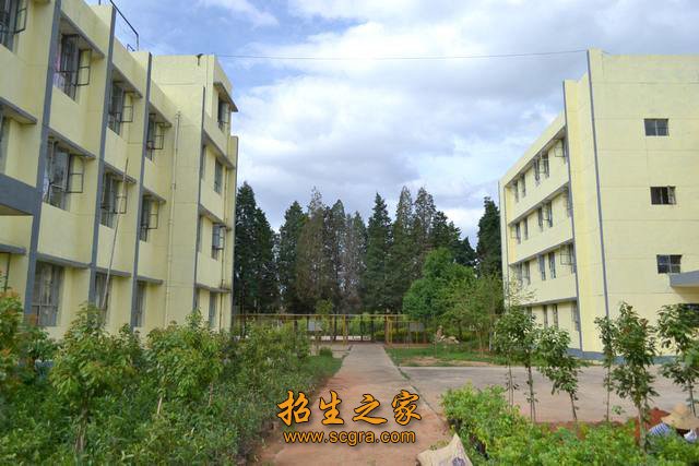 航空澳门永利平台手机版下载