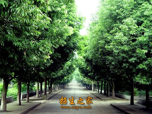 有色行业职工就业再就业培训基地