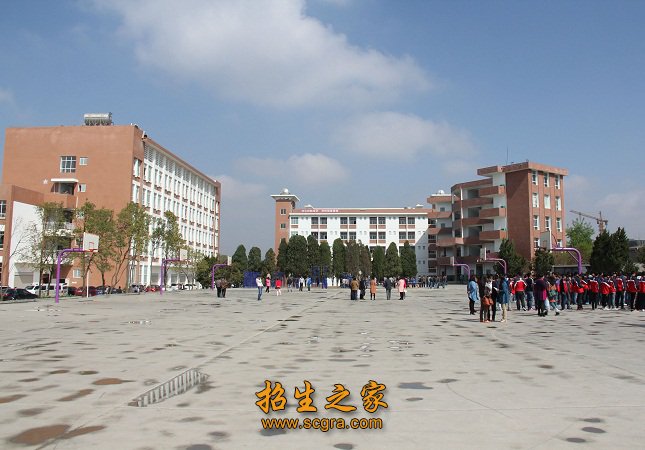 从增强澳门永利注册出任山东泰山官方合