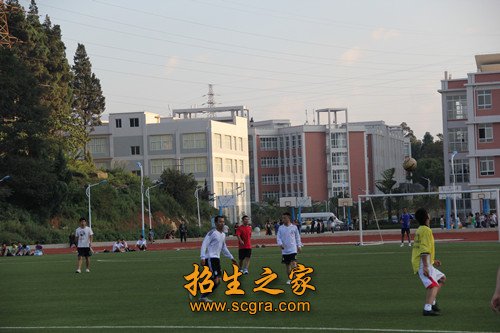 会计与微机运用