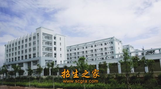 初级专业人才