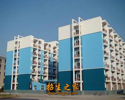其中护理专业为省级骨干专业