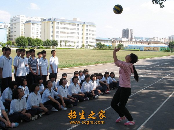 铜牌两枚