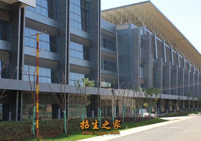 培养社会需要的体育服务蓝领