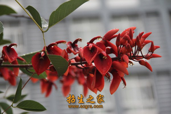 设施一流