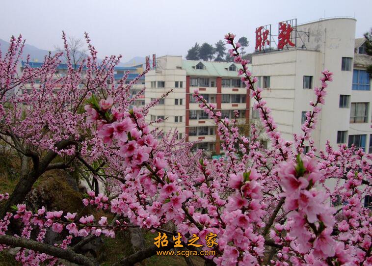 是劳动部就业实习指导教学实验基地