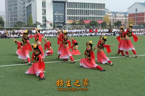 每年举办各类培训班