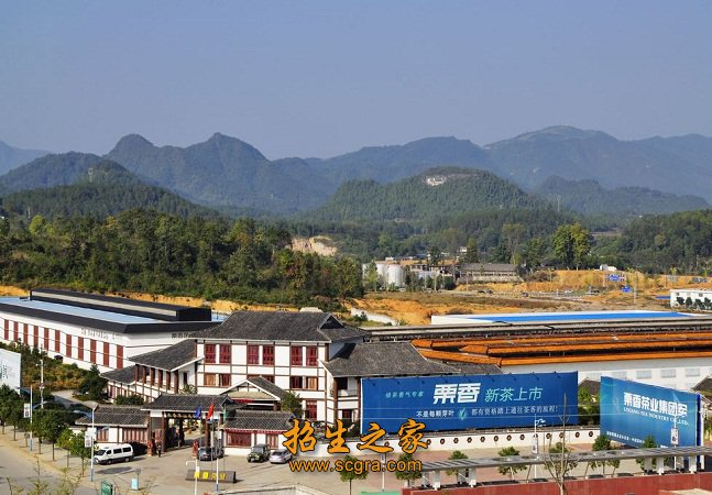 恢复办学后的校名为“湄潭县职业高级中