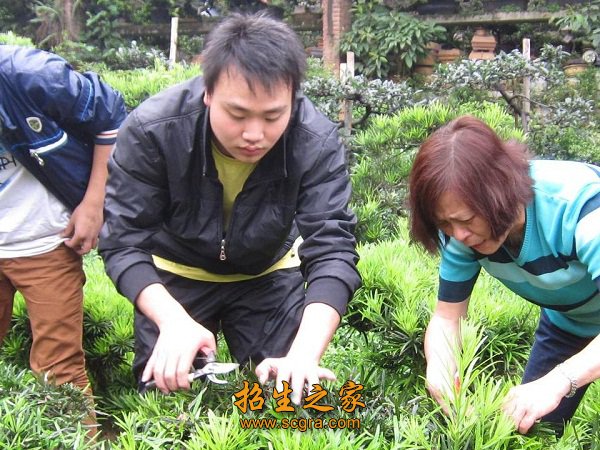 高中应往届毕业生