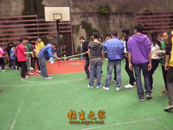 各门课程成绩考试合格