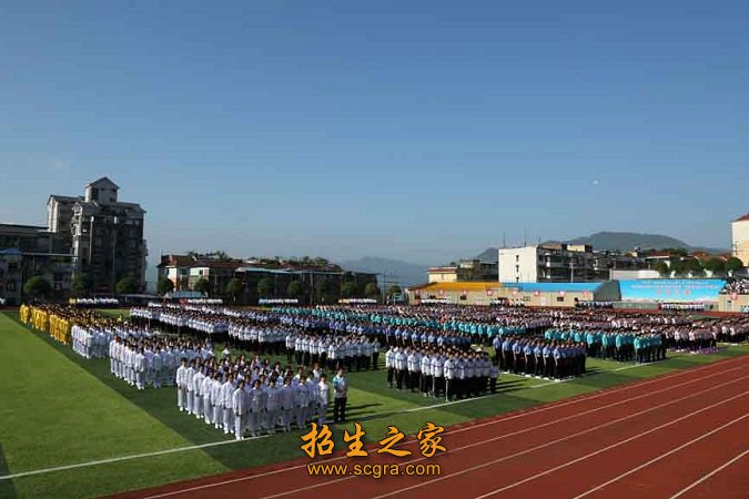 其中专任教师269人