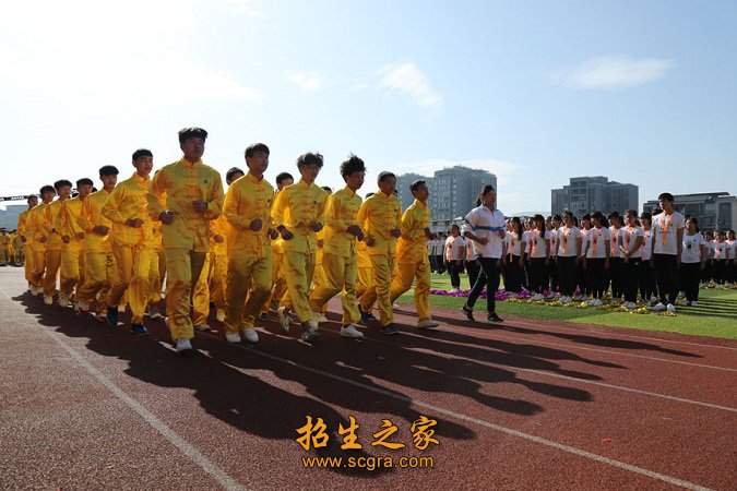高级教师68人