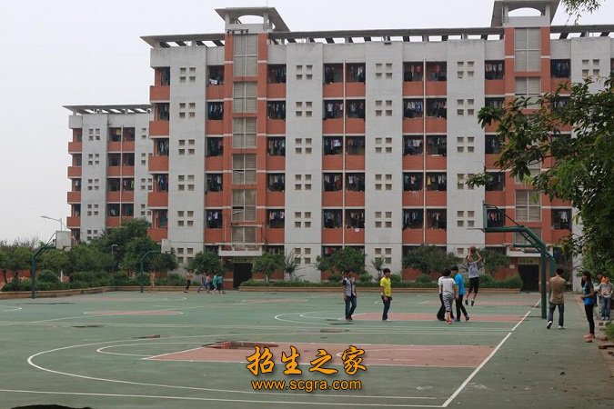 各类人员来校接受职业技能短期培训年均