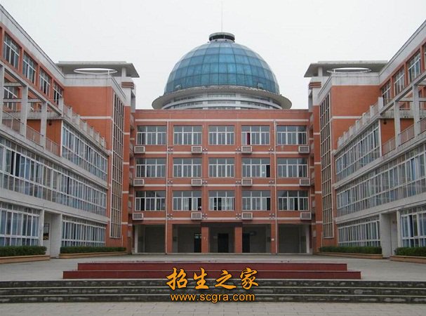 信息技术类