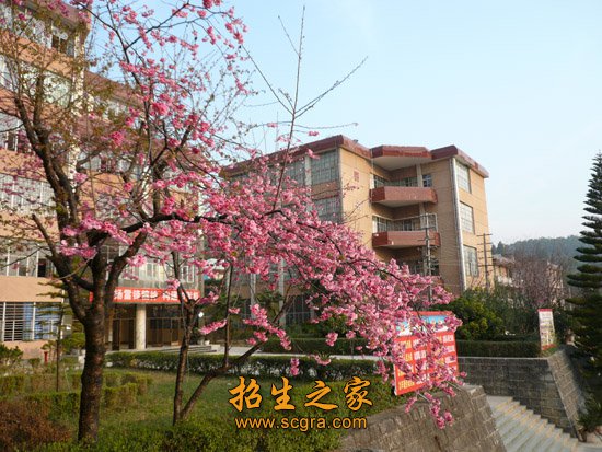一套班子”的管理制度