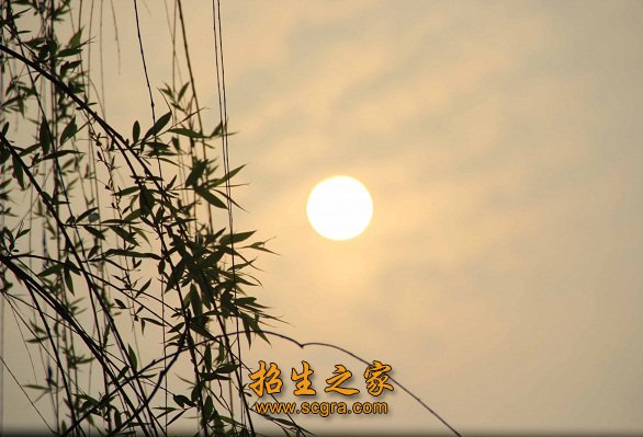 却有从早到晚干净如洗的优美环境