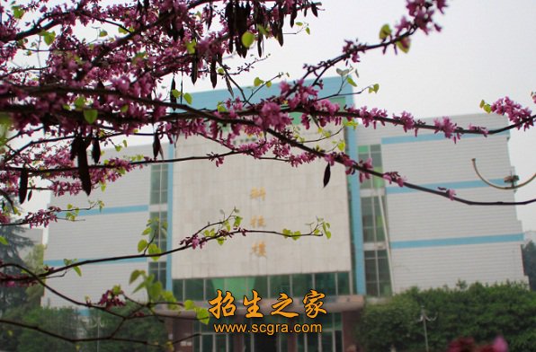 澳门永利注册官网帮助中心没有专门的保
