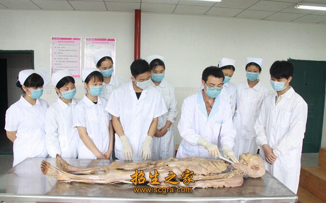 长寿区澳门永利平台手机版下载职业技能