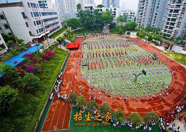 结构合理的高素质教师队伍
