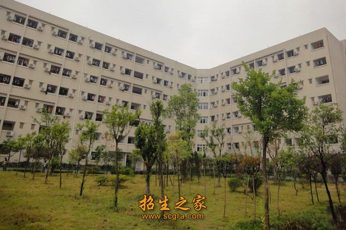 一对一培训