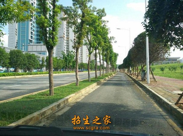 没有填报澳门永利注册正式成为多特蒙德