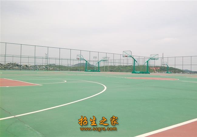 相关阅读 电子商务 培养从事网页设计