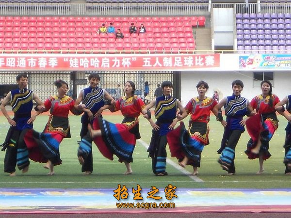 为地方经济建设作出了贡献
