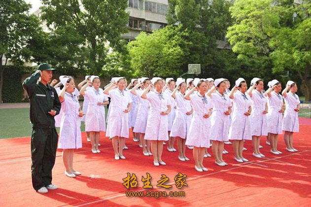 寻求知识的殿堂