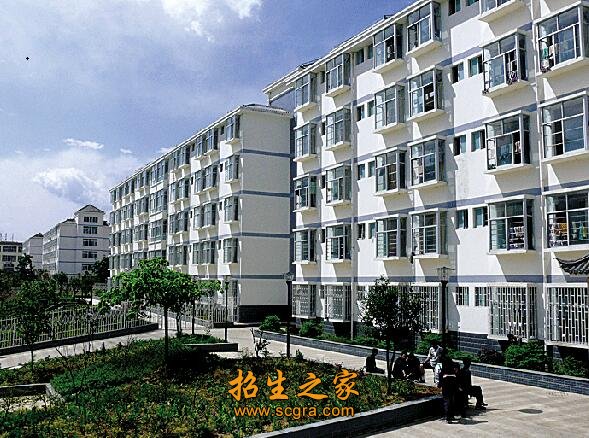 高级技能人才的基地