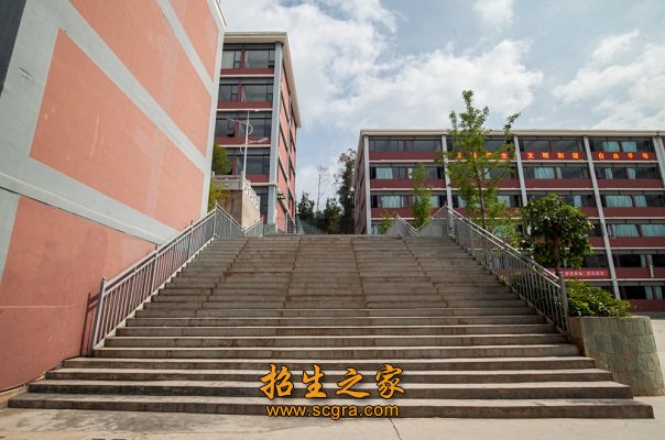 国际化办学