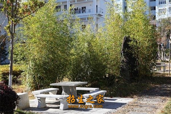 文秘及旅游服务类等25个专业