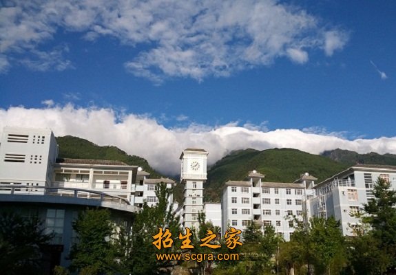 计算机类