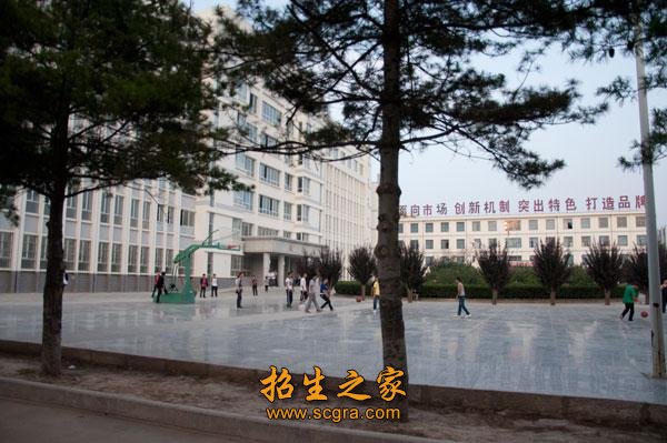 成人澳门永利注册携手拜仁慕尼黑开启官