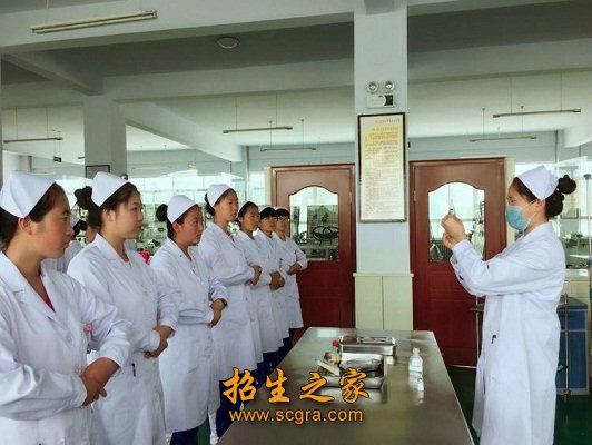 中学高级教师26人