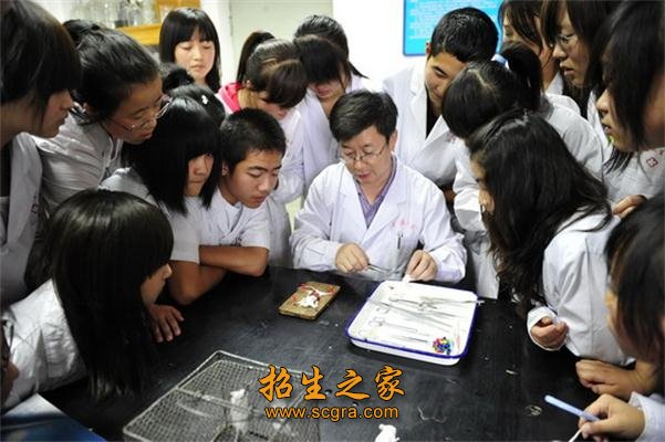 技能型医护人才