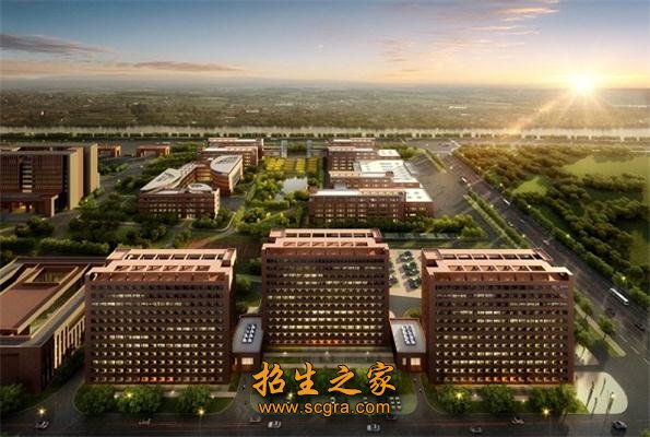 高级专业技术职务人员132人