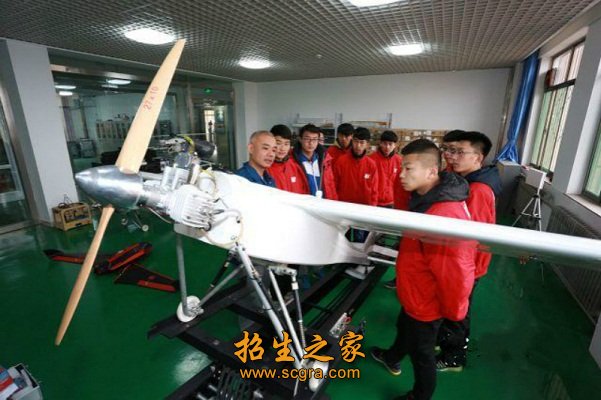 兼职教授10人