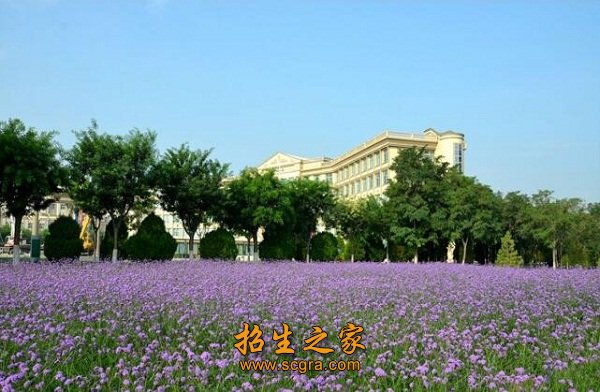 毕业生就业保障工程