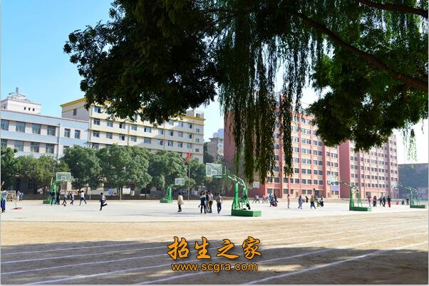中华职教社团体会员单位