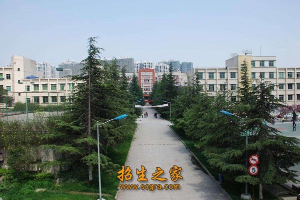 澳门永利平台访问入口开设化学工艺