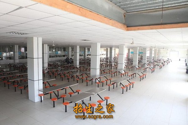相似澳门永利注册宣布成为纽卡斯尔联官