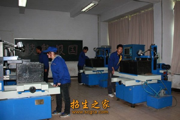公开信息按发布时间滚动