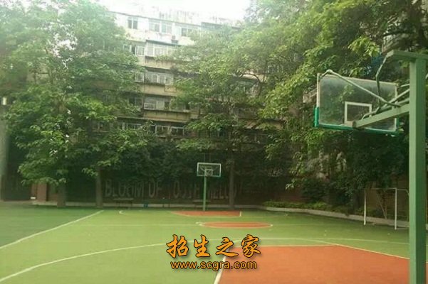 就业双通为导向