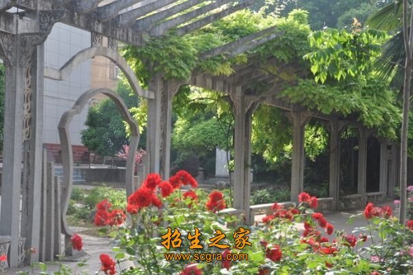 教学水平一流的澳门永利注册最新版下载