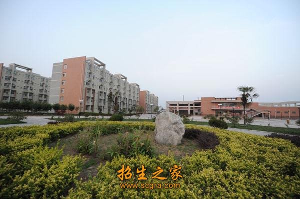 开展多层次