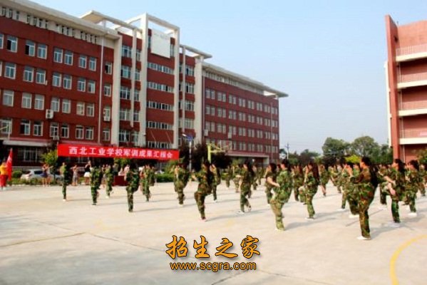 其中“化学工艺”