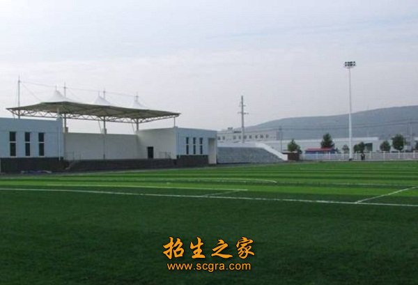 专业设置